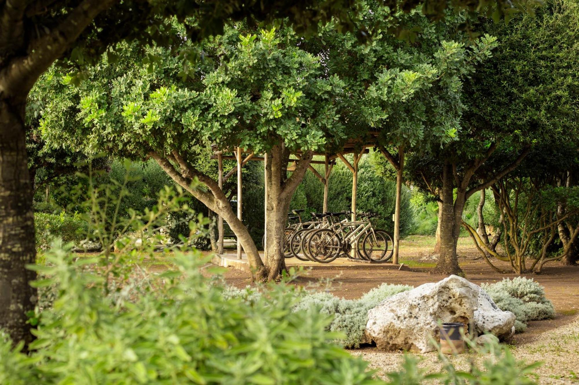 Masseria Don Cirillo ウジェント エクステリア 写真